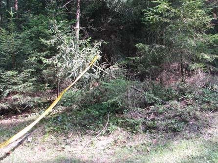 foto 12.jpg